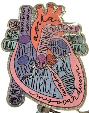 Anatomical Heart Retractable ID Badge Reel, Cardiologist, Nurse, Doctor NWT